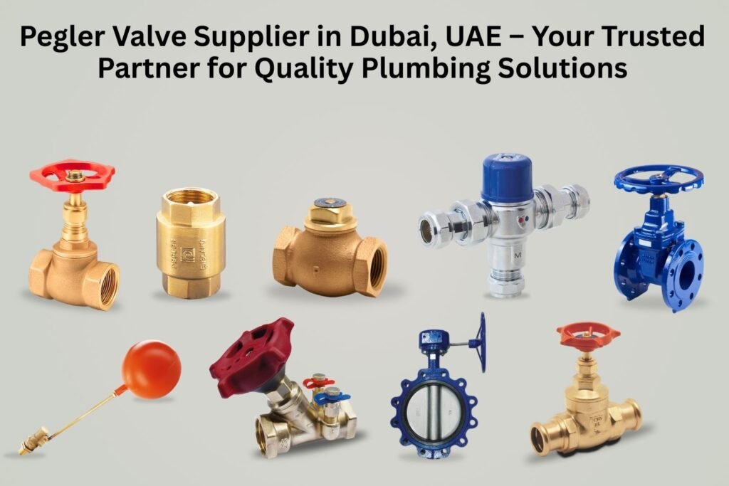 Pegler Valve Supplier in Dubai UAE 