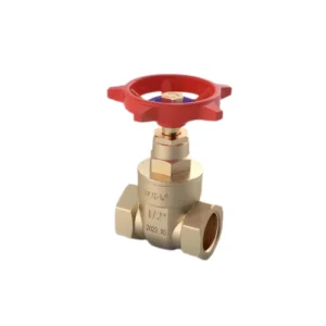 gate valve