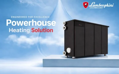 Lamborghini Floor-Standing Boilers: The Powerhouse Heating Solution for UAE Industrial Facilities